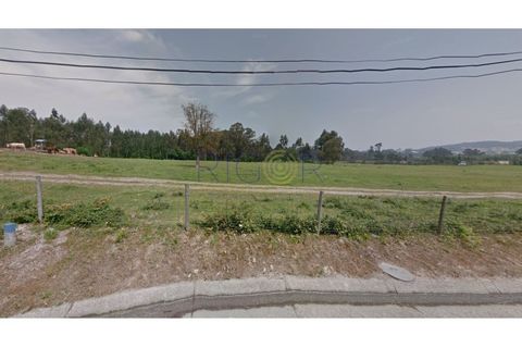 Helårsgrund i Trofa, Porto, Trofa - € 2.150.000 | Ref: AM2804 - foto 2