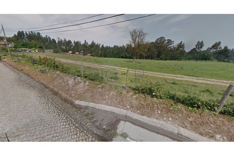 Helårsgrund i Trofa, Porto, Trofa - € 2.150.000 | Ref: AM2804 - foto 3