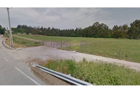 Helårsgrund i Trofa, Porto, Trofa - € 2.150.000 | Ref: AM2804 - foto 4