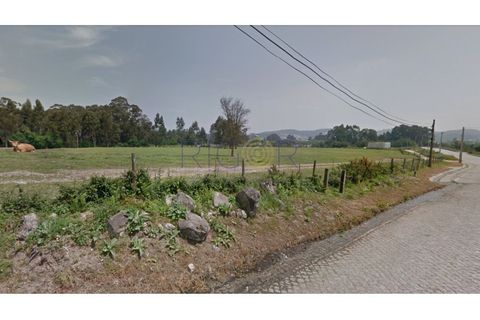 Helårsgrund i Trofa, Porto, Trofa - € 2.150.000 | Ref: AM2804 - foto 5