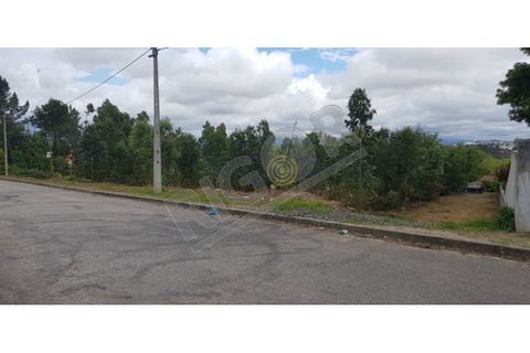 Terra a Argoncilhe, Aveiro, Argoncilhe - € 220.000 | Ref: FS2588 - foto 3