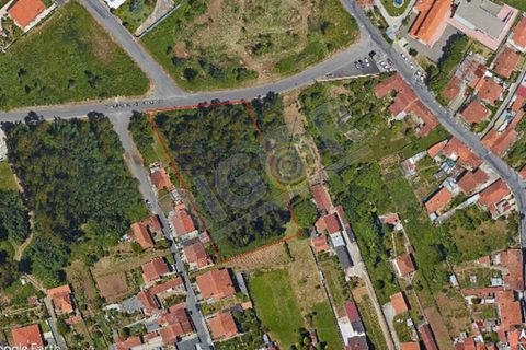 Terra a Argoncilhe, Aveiro, Argoncilhe - € 220.000 | Ref: FS2588 - foto 4