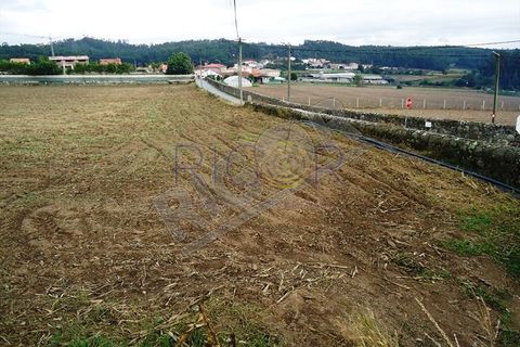 Helårsgrund i Vila do Conde, Porto, Vila do Conde - € 300.000 | Ref: Maia2-1383 - foto 4