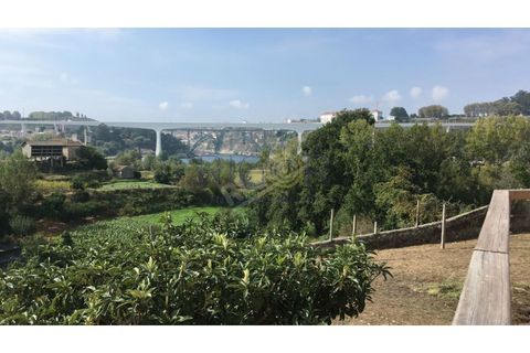 Helårsgrund i Oliveira do Douro, Porto, Oliveira do Douro - € 900.000 | Ref: G112 - foto 5
