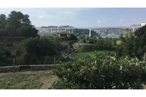 Helårsgrund i Oliveira do Douro, Porto, Oliveira do Douro - € 900.000 | Ref: G112 - foto 6