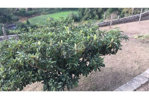 Helårsgrund i Oliveira do Douro, Porto, Oliveira do Douro - € 900.000 | Ref: G112 - foto 8
