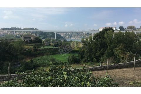 Helårsgrund i Oliveira do Douro, Porto, Oliveira do Douro - € 900.000 | Ref: G112 - foto 10