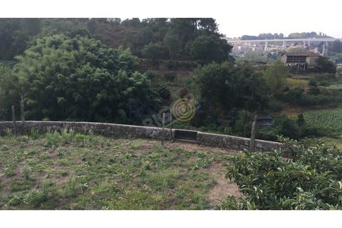 Helårsgrund i Oliveira do Douro, Porto, Oliveira do Douro - € 900.000 | Ref: G112 - foto 11
