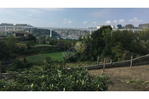 Helårsgrund i Oliveira do Douro, Porto, Oliveira do Douro - € 900.000 | Ref: G112 - foto 12