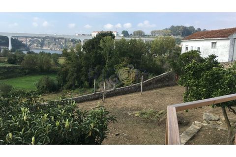 Helårsgrund i Oliveira do Douro, Porto, Oliveira do Douro - € 900.000 | Ref: G112 - foto 13