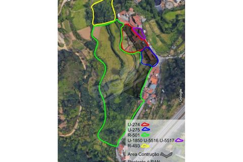 Helårsgrund i Oliveira do Douro, Porto, Oliveira do Douro - € 900.000 | Ref: G112 - foto 14