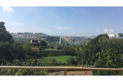 Helårsgrund i Oliveira do Douro, Porto, Oliveira do Douro - € 900.000 | Ref: G112 - foto 17