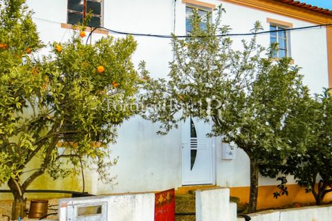 Landejendom i Proenca-a-Nova, Castelo Branco, Proenca-a-Nova - € 75.000 | Ref: 602-2 - foto 3