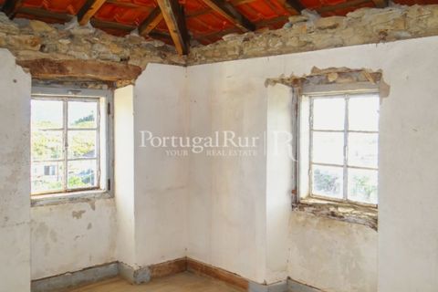 Landejendom i Proenca-a-Nova, Castelo Branco, Proenca-a-Nova - € 75.000 | Ref: 602-2 - foto 6
