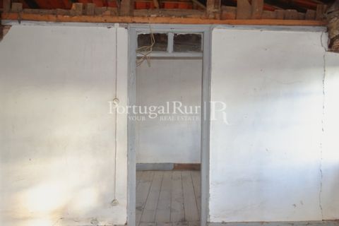 Landejendom i Proenca-a-Nova, Castelo Branco, Proenca-a-Nova - € 75.000 | Ref: 602-2 - foto 9