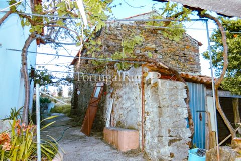 Landejendom i Proenca-a-Nova, Castelo Branco, Proenca-a-Nova - € 75.000 | Ref: 602-2 - foto 13
