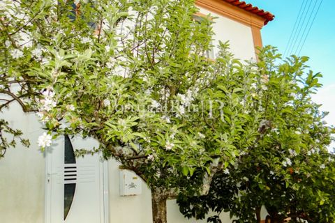 Landejendom i Proenca-a-Nova, Castelo Branco, Proenca-a-Nova - € 75.000 | Ref: 602-2 - foto 15