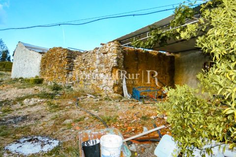 Landejendom i Proenca-a-Nova, Castelo Branco, Proenca-a-Nova - € 75.000 | Ref: 602-2 - foto 16