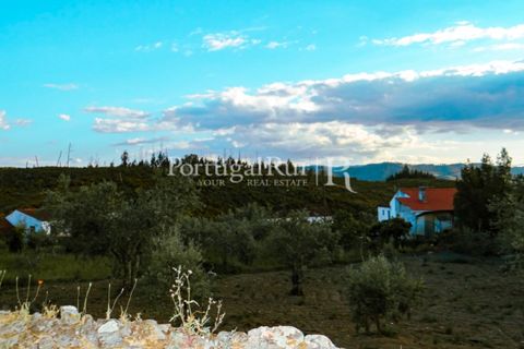 Landejendom i Proenca-a-Nova, Castelo Branco, Proenca-a-Nova - € 75.000 | Ref: 602-2 - foto 17