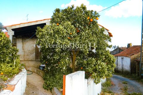 Landejendom i Proenca-a-Nova, Castelo Branco, Proenca-a-Nova - € 75.000 | Ref: 602-2 - foto 18