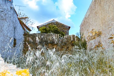 Landejendom i Proenca-a-Nova, Castelo Branco, Proenca-a-Nova - € 75.000 | Ref: 602-2 - foto 19