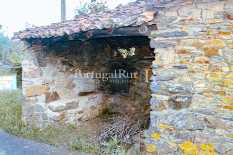 Landejendom i Proenca-a-Nova, Castelo Branco, Proenca-a-Nova - € 75.000 | Ref: 602-2 - foto 20
