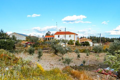 Landejendom i Proenca-a-Nova, Castelo Branco, Proenca-a-Nova - € 75.000 | Ref: 602-2 - foto 21
