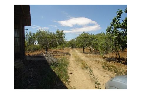 Landejendom i Albufeira, Faro, Albufeira - € 1.300.000 | Ref: 919 - foto 6