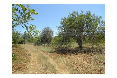 Helårsgrund i Albufeira, Faro, Albufeira - € 1.200.000 | Ref: 920 - foto 4
