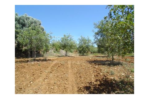 Helårsgrund i Albufeira, Faro, Albufeira - € 1.200.000 | Ref: 920 - foto 5