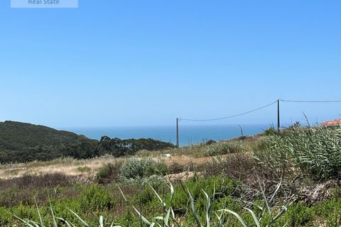 Helårsgrund i Mafra, Lisbon, Mafra - € 220.000 | Ref: LOT_1183 - foto 6
