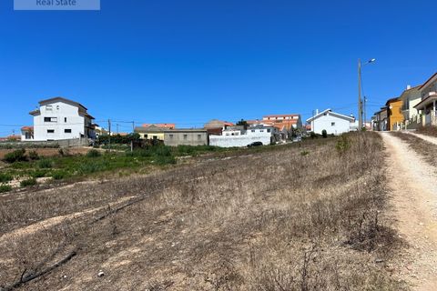 Helårsgrund i Mafra, Lisbon, Mafra - € 220.000 | Ref: LOT_1183 - foto 13