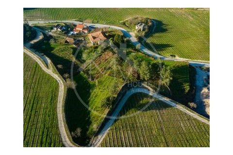 Farm i Lousada, Porto, Lousada - € 590.000 | Ref: Q587 - foto 17
