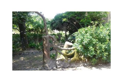 Farm i Lousada, Porto, Lousada - € 590.000 | Ref: Q587 - foto 9