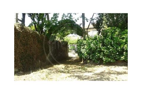 Farm i Lousada, Porto, Lousada - € 590.000 | Ref: Q587 - foto 10