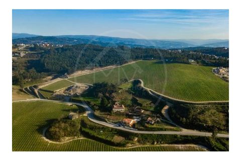 Farm i Lousada, Porto, Lousada - € 590.000 | Ref: Q587 - foto 2