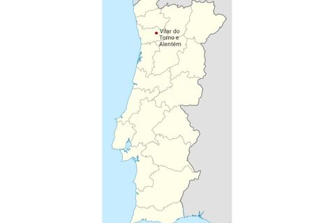 Farm i Lousada, Porto, Lousada - € 590.000 | Ref: Q587 - foto 18