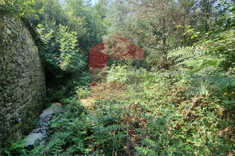 Byhus i Paredes de Coura, Viana do Castelo, Paredes de Coura - € 36.500 | Ref: 07680 - foto 2