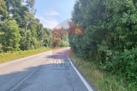 Byhus i Paredes de Coura, Viana do Castelo, Paredes de Coura - € 36.500 | Ref: 07680 - foto 12
