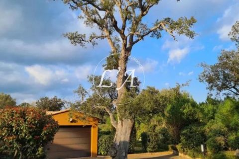 Villa i Porto-Vecchio, Corse-du-Sud, Porto-Vecchio - € 1.950.000 | Ref: PVM000627KP - foto 19