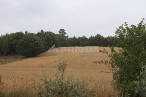 Helårsgrund i Fundao, Castelo Branco, Fundao - € 23.000 | Ref: PP3900 - foto 1