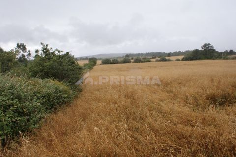 Helårsgrund i Fundao, Castelo Branco, Fundao - € 23.000 | Ref: PP3900 - foto 2