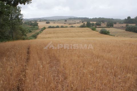 Helårsgrund i Fundao, Castelo Branco, Fundao - € 23.000 | Ref: PP3900 - foto 3