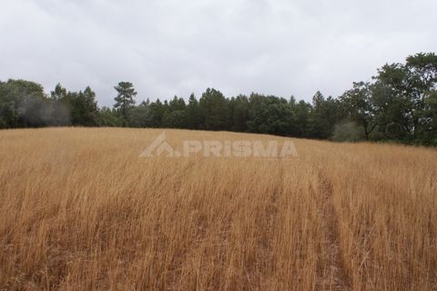 Helårsgrund i Fundao, Castelo Branco, Fundao - € 23.000 | Ref: PP3900 - foto 4