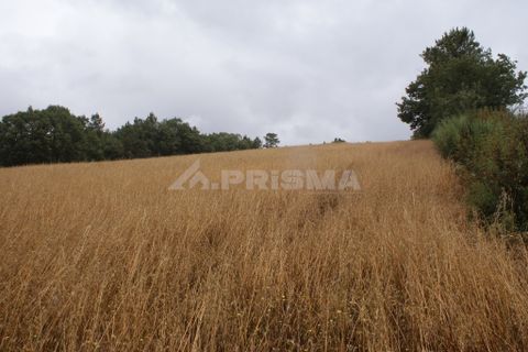 Helårsgrund i Fundao, Castelo Branco, Fundao - € 23.000 | Ref: PP3900 - foto 5