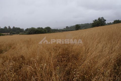 Helårsgrund i Fundao, Castelo Branco, Fundao - € 23.000 | Ref: PP3900 - foto 6