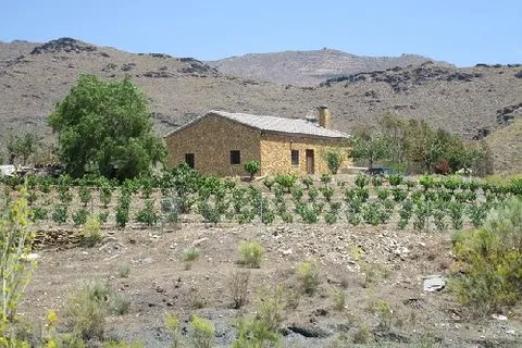 Masia a Senes, Almeria, Senes - € 139.950 | Ref: SEN305 - foto 2