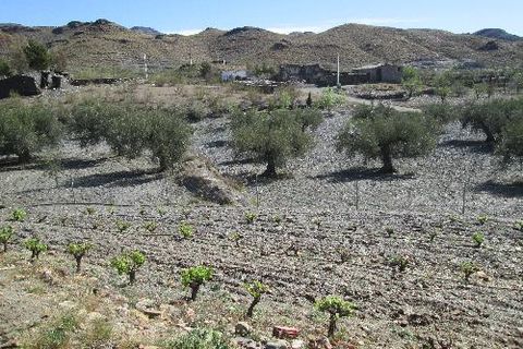 Masia a Senes, Almeria, Senes - € 139.950 | Ref: SEN305 - foto 16