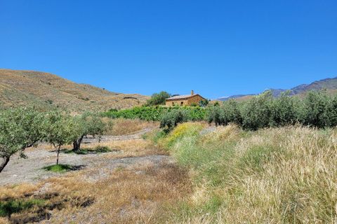 Masia a Senes, Almeria, Senes - € 139.950 | Ref: SEN305 - foto 22