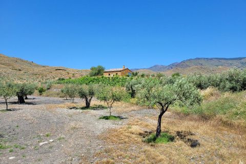 Masia a Senes, Almeria, Senes - € 139.950 | Ref: SEN305 - foto 25